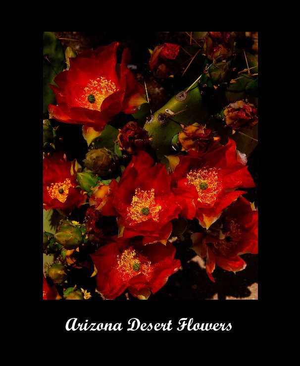 View Arizona Desert Flowers by Photos by Chuck Williams
