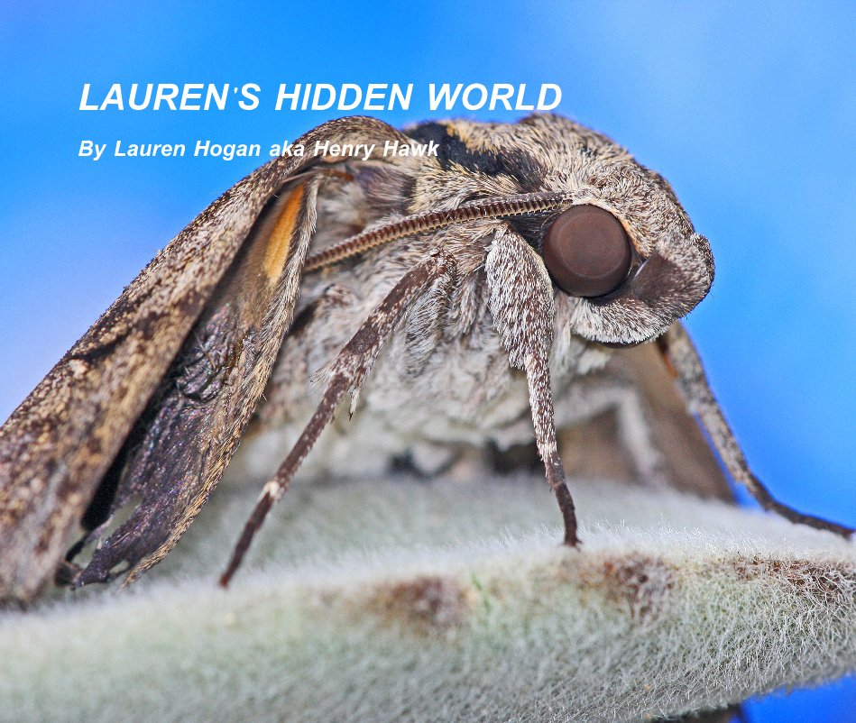 Ver LAUREN'S HIDDEN WORLD By Lauren Hogan aka Henry Hawk por Lauren Hogan aka Henry Hawk