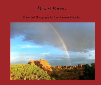 Desert Poems book cover