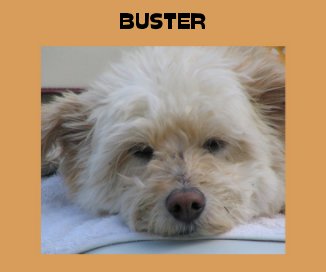 BUSTER book cover