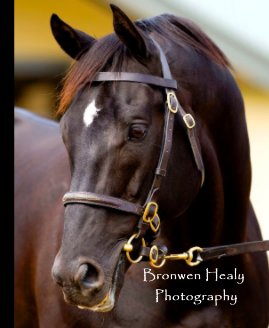 Bronwen Healy Photography book cover