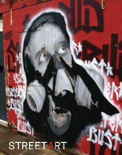 Streetart book cover