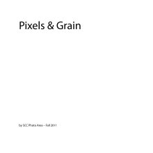 Pixels & Grain: Fall 2011 book cover
