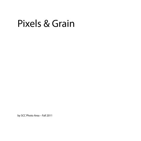 View Pixels & Grain: Fall 2011 by SCC Photo Area