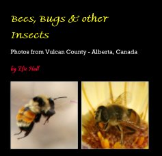 Bees, Bugs & other Insects book cover