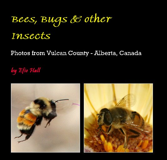 Ver Bees, Bugs & other Insects por Efie Hall