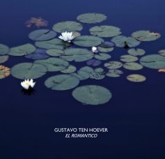 GUSTAVO TEN HOEVER book cover