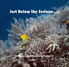 Just Below the Surface.... book cover