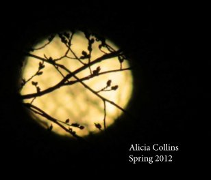 Alicia Collins book cover