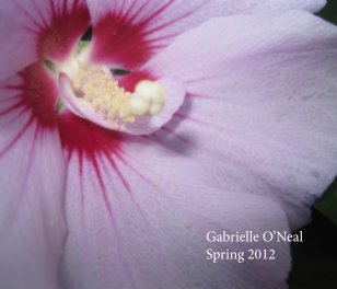 Gabrielle O'Neal book cover