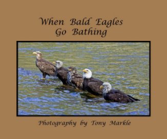 When Bald Eagles Go Bathing book cover