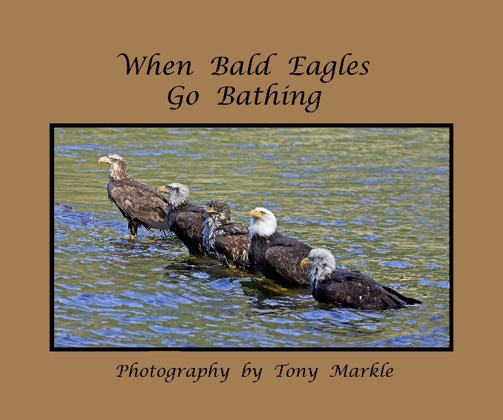 View When Bald Eagles Go Bathing by Tony Markle