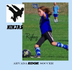 Ryley Chisholm book cover