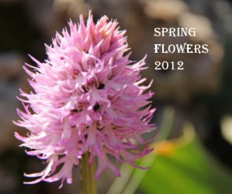 SPRING FLOWERS 2012 book cover