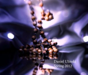 Daniel Ulinski book cover