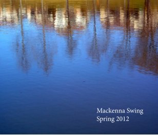 Mackenna Swing book cover