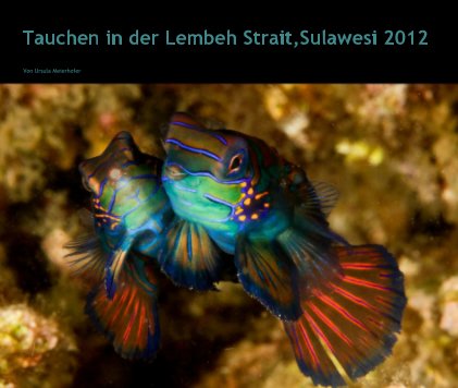 Tauchen in der Lembeh Strait,Sulawesi 2012 book cover