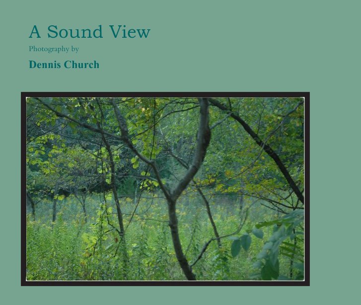 View A Sound View by Dennis Church