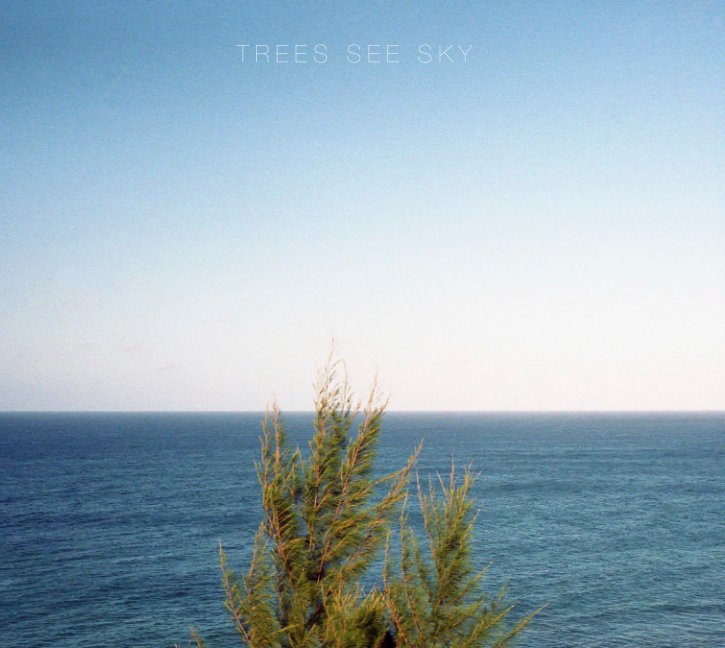 Visualizza TREES SEE SKY di keith telfeyan