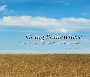 Going Somewhere book cover