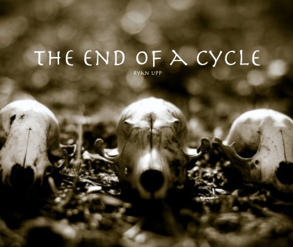 THE END OF A CYCLE book cover
