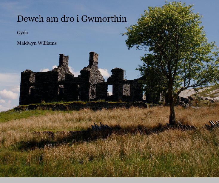 Ver Dewch am dro i Gwmorthin por Maldwyn Williams