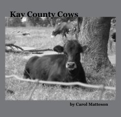 Kay County Cows book cover