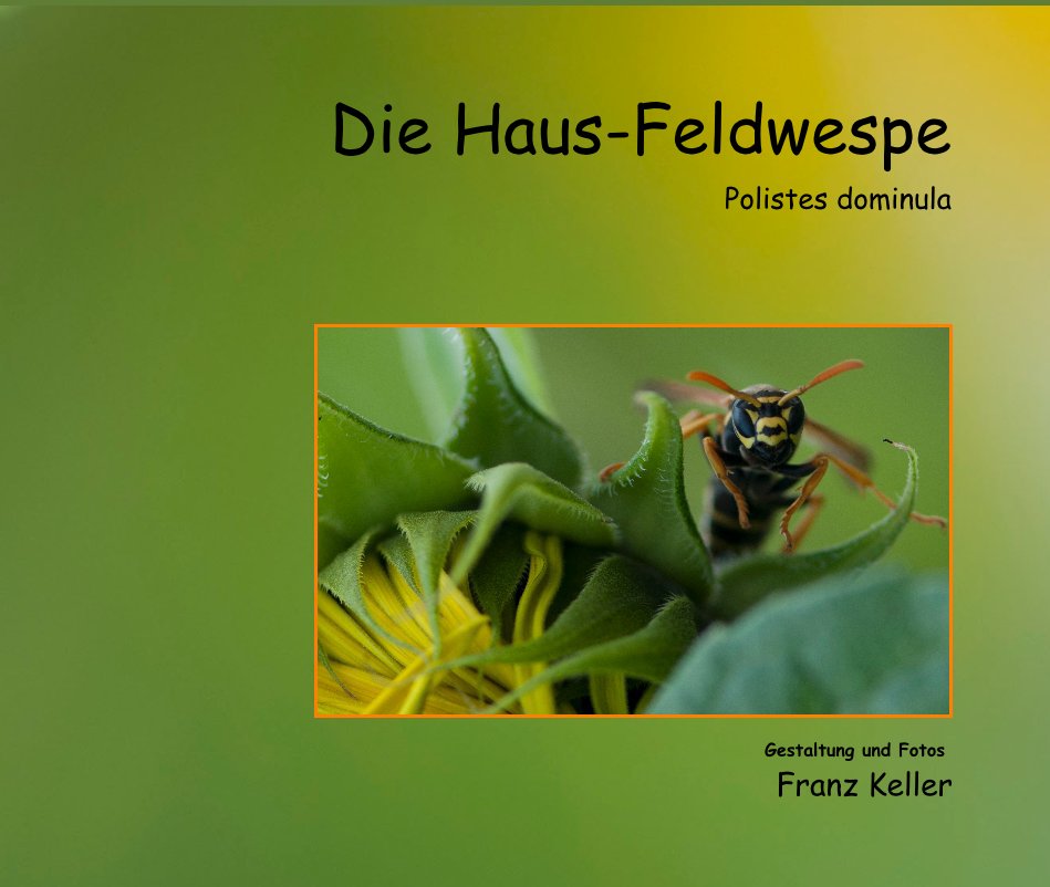 Die Haus-Feldwespe nach Gestaltung und Fotos Franz Keller anzeigen