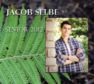 Jacob Selbe book cover