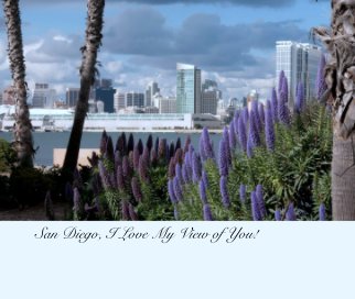 San Diego, I Love My View of You! book cover