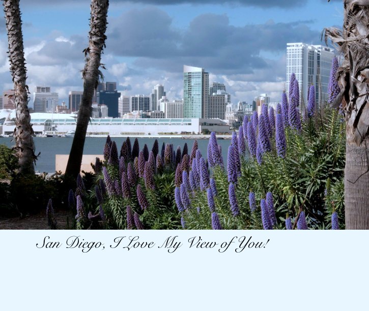 View San Diego, I Love My View of You! by Thena