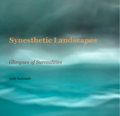 Synesthetic Landscapes book cover