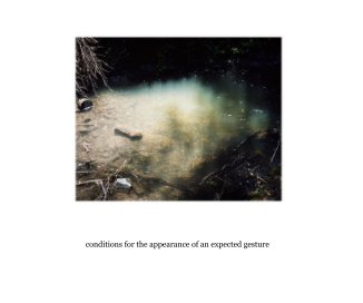 conditions for the appearance of an expected gesture book cover