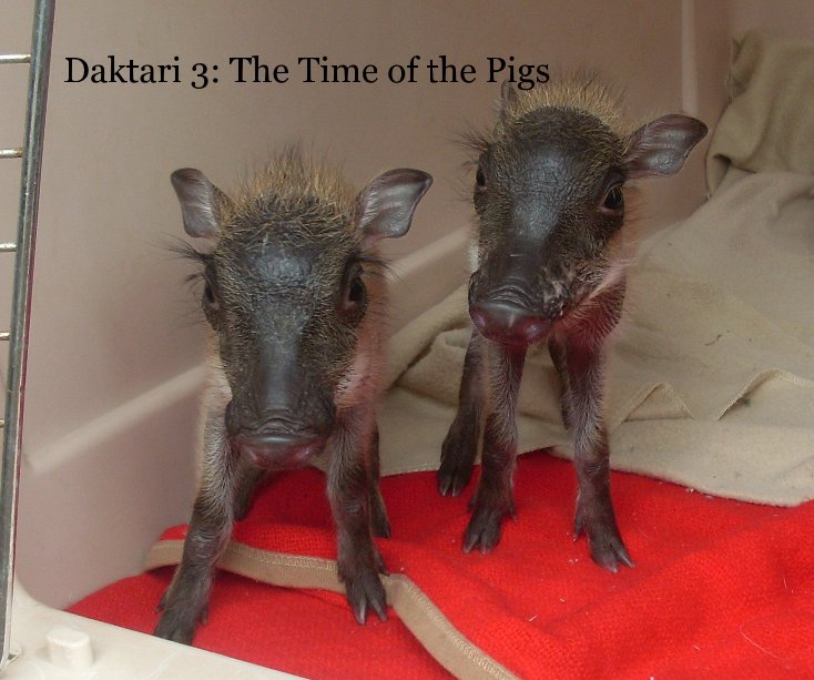 Ver Daktari 3: The Time of the Pigs por nicolamg