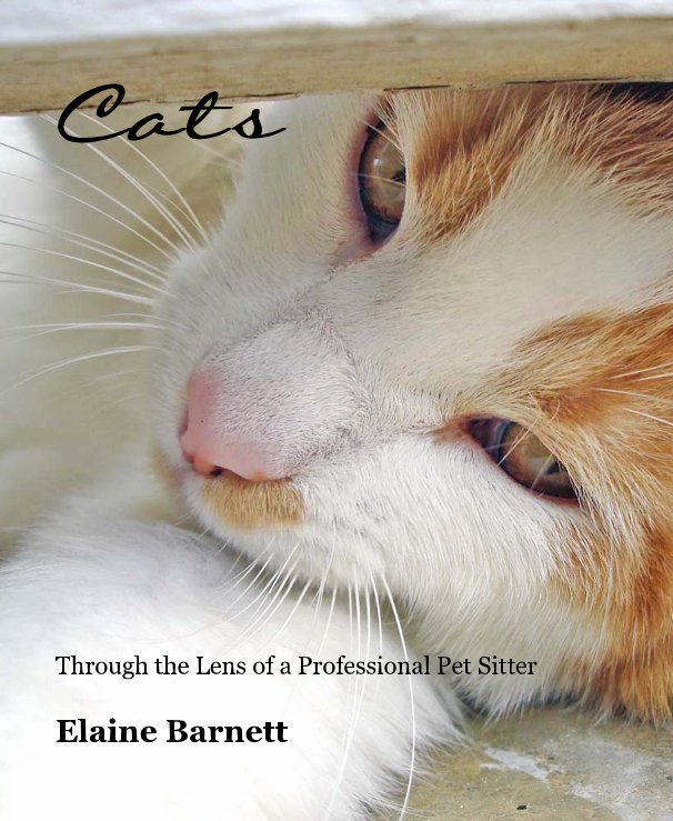 View Cats by Elaine Barnett