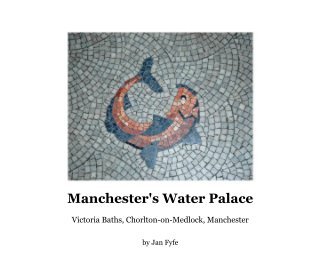 Manchester's Water Palace book cover