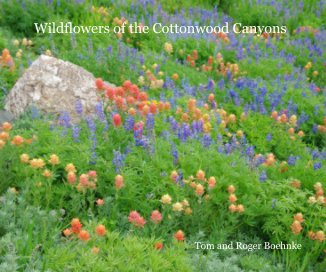 Wildflowers of the Cottonwood Canyons book cover