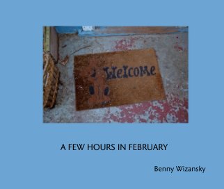 A FEW HOURS IN FEBRUARY book cover
