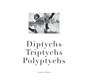 Diptychs Triptychs Polyptychs book cover