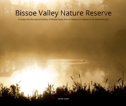 Bissoe Valley Nature Reserve: A study into the natural history of Bissoe Valley Nature Reserve book cover