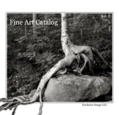 Fine Art Catalog book cover