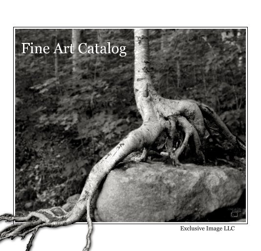 View Fine Art Catalog by Exclusive Image LLC
