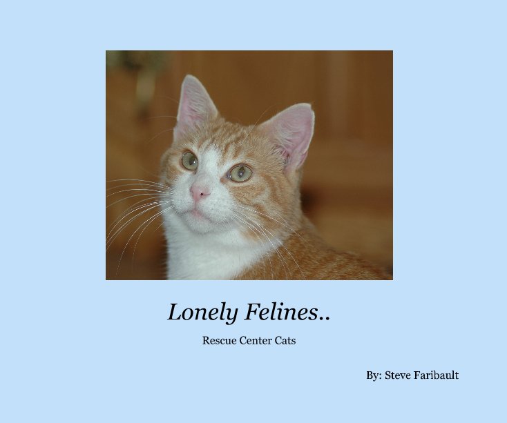 View Lonely Felines.. by Steve Faribault