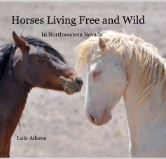 Horses Living Free and Wild book cover
