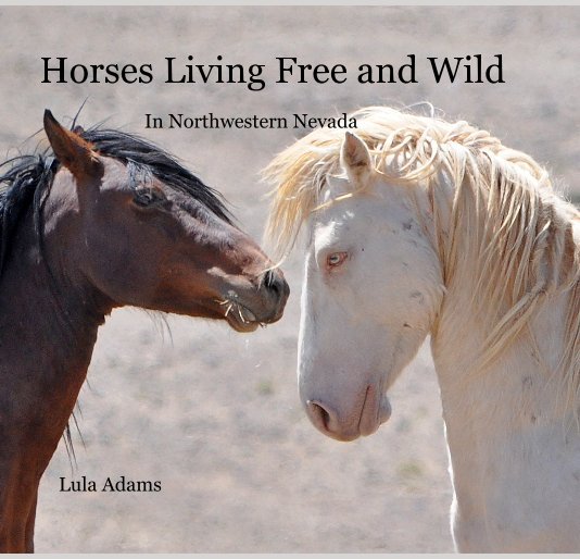 View Horses Living Free and Wild by Lula Adams