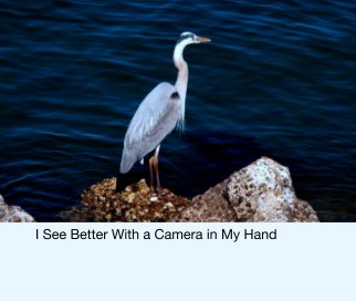 I See Better With a Camera in My Hand book cover