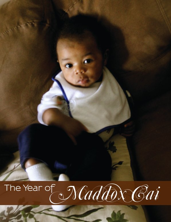 View The Year of Maddox Cai by Brittany Williams