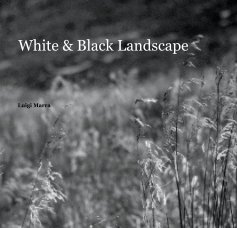 White & Black Landscape book cover