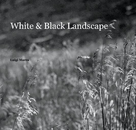 View White & Black Landscape by Luigi Marra
