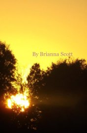 brianna book cover